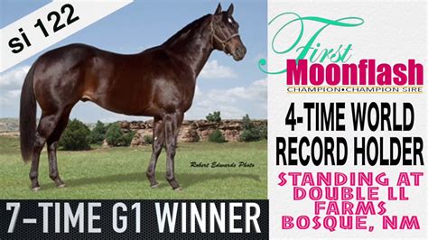 2023 Fee 1,500. . First moonflash stallion